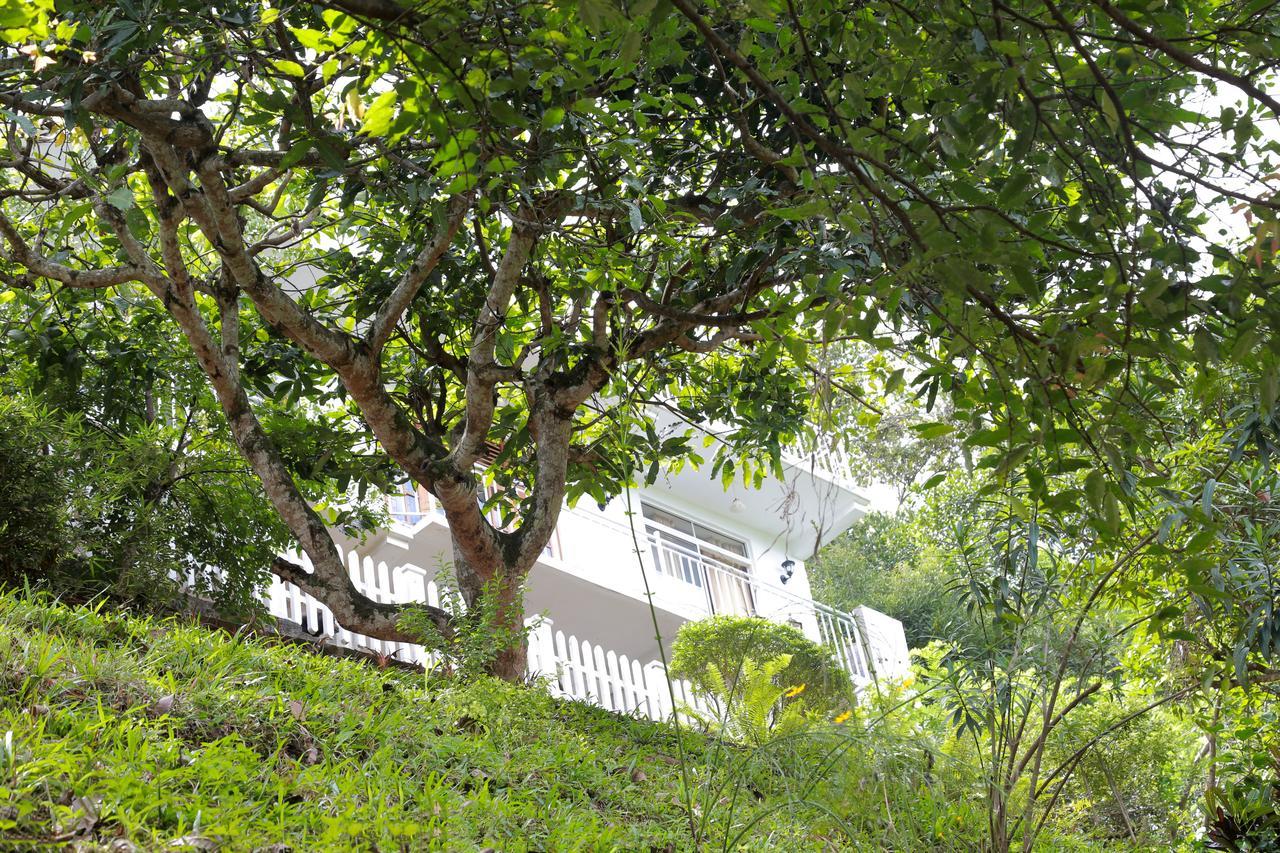 Villa Serene キャンディー エクステリア 写真